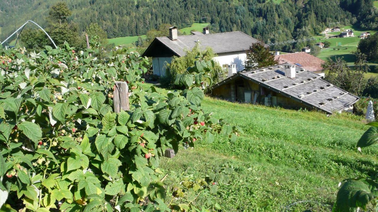 Obergereuth Hof 1288 Leilighet San Martino In Passiria  Eksteriør bilde