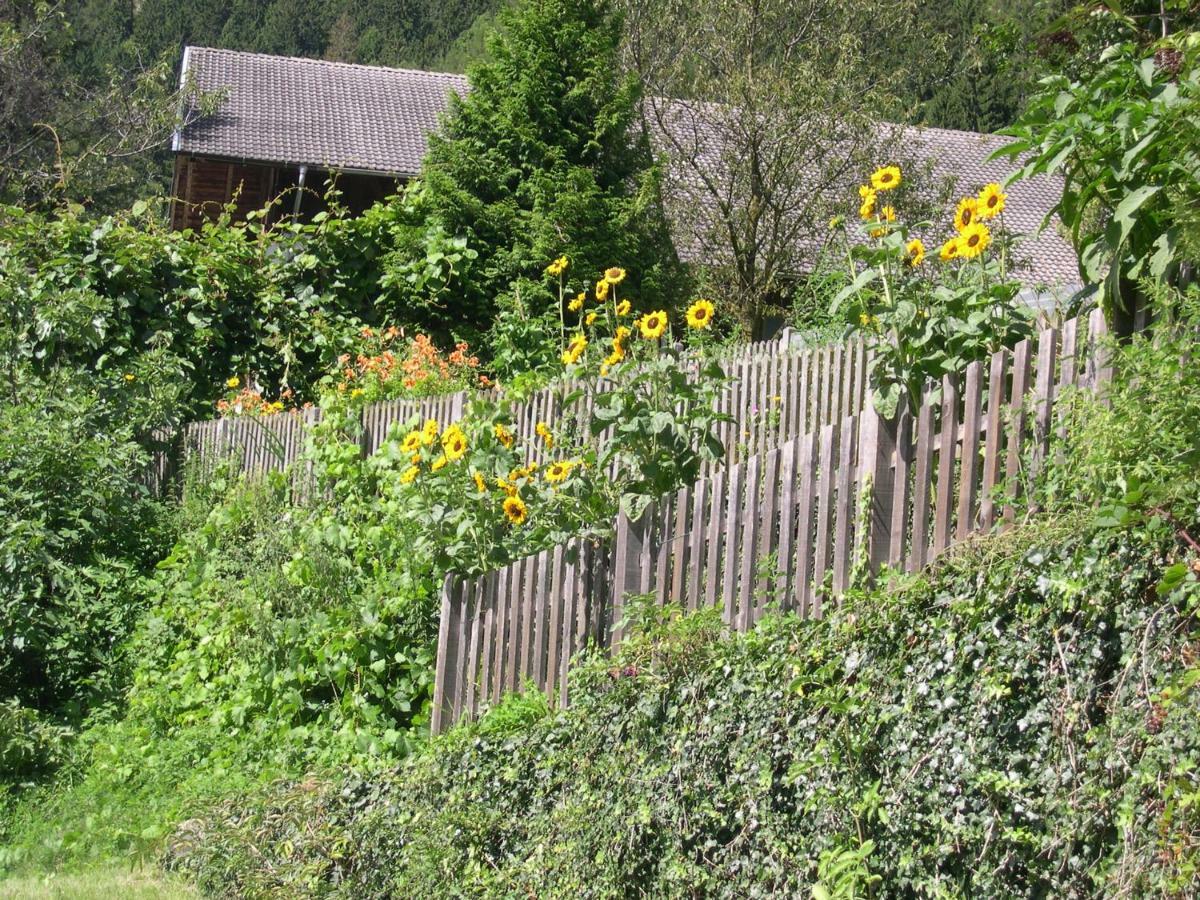Obergereuth Hof 1288 Leilighet San Martino In Passiria  Eksteriør bilde