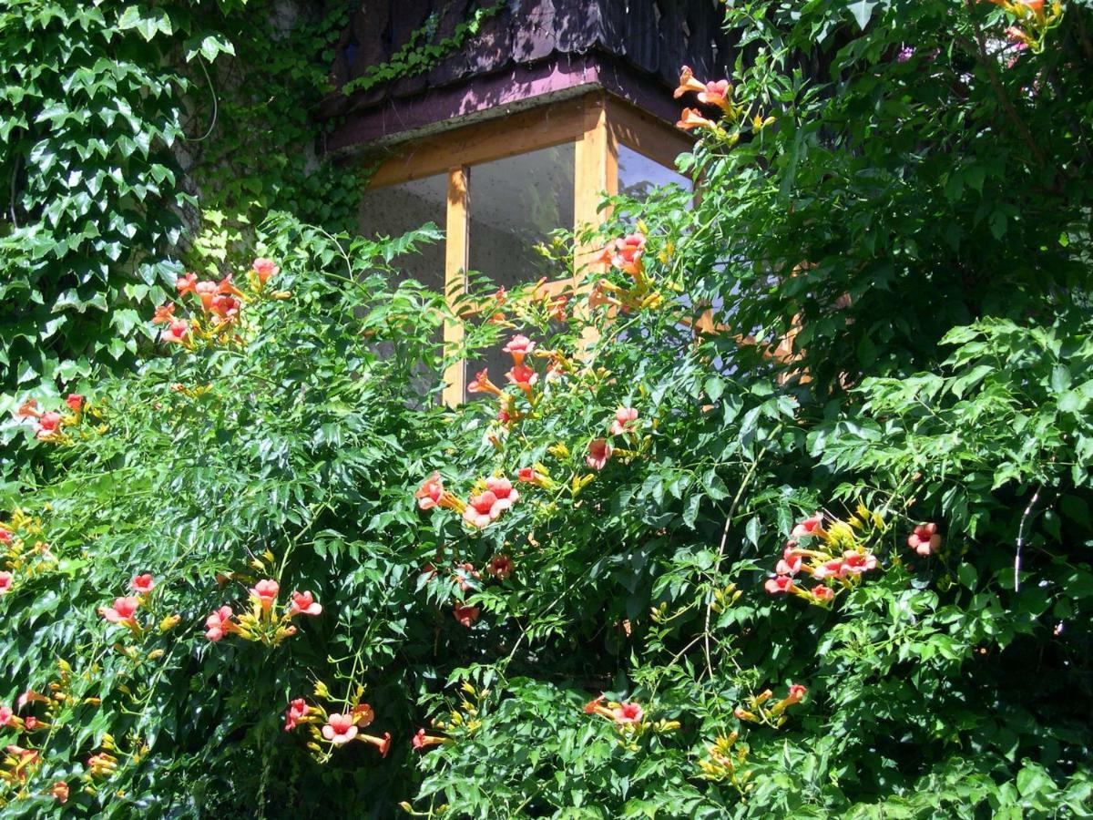 Obergereuth Hof 1288 Leilighet San Martino In Passiria  Eksteriør bilde